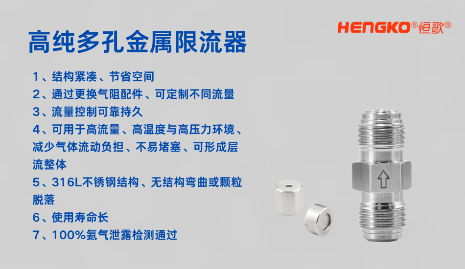 多孔金屬限流器1