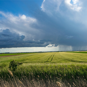 智慧農(nóng)業(yè)是如何改變農(nóng)業(yè)的？